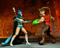 Teenage Mutant Ninja Turtles (Mirage Comics) Actionfigur Savanti Romero 18 cm